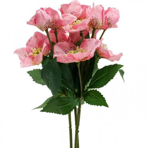 Floristik24 Rosa de Natal, rosa quaresmal, heléboro, plantas artificiais rosa L34cm 4pcs