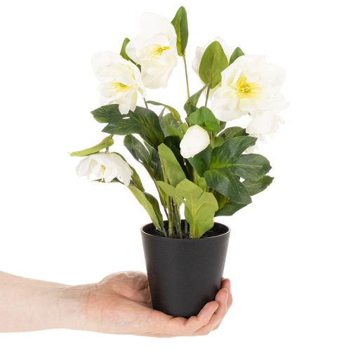 Rosa de Natal artificial, flor em vaso, decoração de mesa, 34 cm | Floristik24.pt