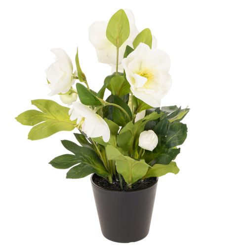 Rosa de Natal artificial, flor em vaso, decoração de mesa, 34 cm | Floristik24.pt