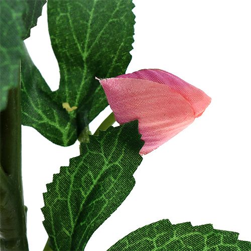 Floristik24 Rosa de natal rosa C22cm 1p