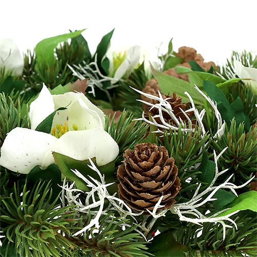 Floristik24 Coroa de rosa de natal Ø30cm