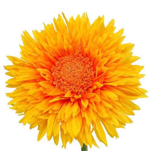 Floristik24 Peluche Crisântemo 63cm Amarelo Dourado