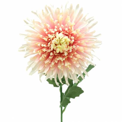 Floristik24 Ramo de flor de crisântemo rosa artificial 64cm