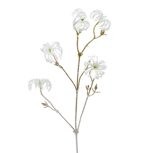 Itens Ramo de Clematis branco flocado 62 cm 3 unidades