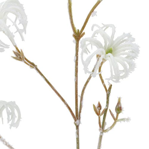 Itens Ramo de Clematis branco flocado 62 cm 3 unidades