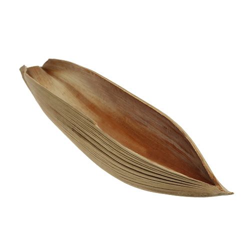 Coconut bowl folha de palmeira 60-80cm nature