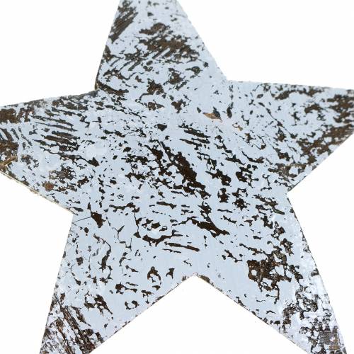 Itens Estrela de coco lavada de branco 10cm 20 un