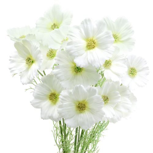 Floristik24 Cosmea branco 77cm 3pcs