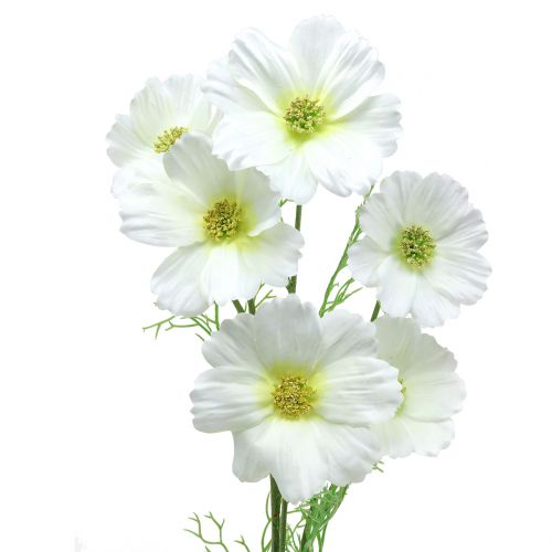 Floristik24 Cosmea branco 77cm 3pcs