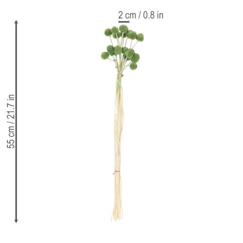 Itens Bolas de flores de Craspedia secas para decoração elegante de outono, 55 cm, 20 unidades.