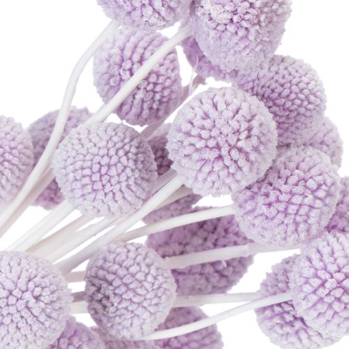 Itens Arranjo de flores secas de Craspedia para decoração de mesa moderna em sua casa, 55cm, 20 peças.