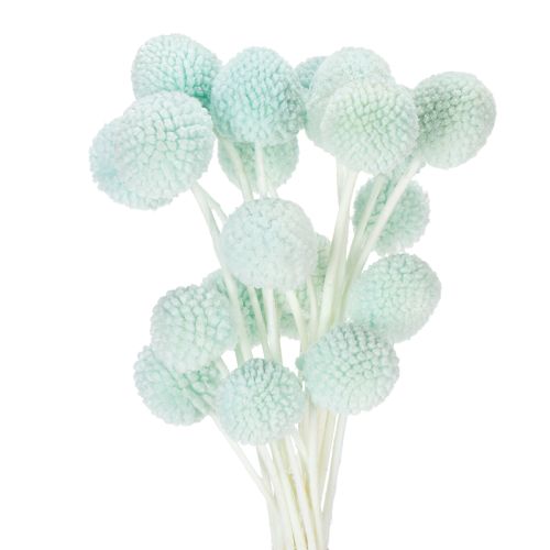 Arranjo de flores secas de Craspedia, arranjo decorativo para sala de estar, decoração de mesa, casamento, 55 cm, 20 peças.