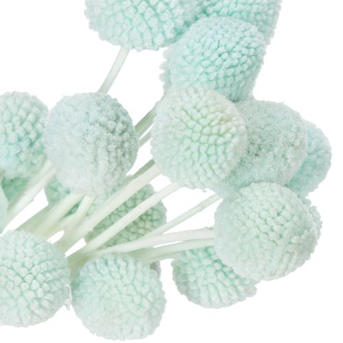 Itens Arranjo de flores secas de Craspedia, arranjo decorativo para sala de estar, decoração de mesa, casamento, 55 cm, 20 peças.