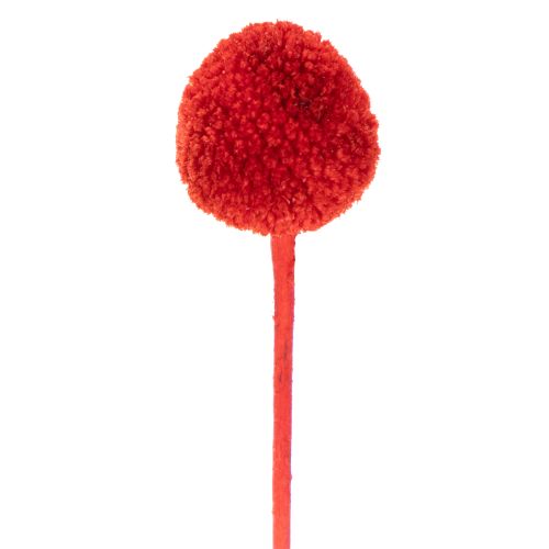 Flores de Craspedia secas e tingidas, com hastes longas, 55 cm, 20 peças. | Floristik24.pt