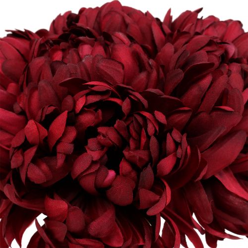 Floristik24 Buquê de crisântemo bordô 28 cm 6 unidades
