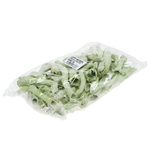 Itens Cupy Roots, Pepe Cone Verde Claro, Branco Lavado 350g
