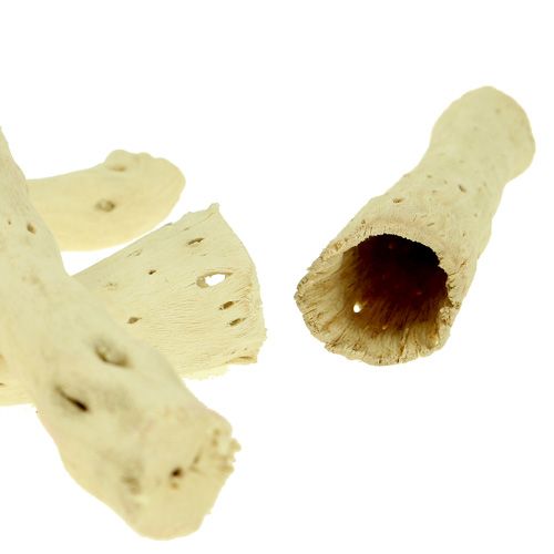 Raiz Cupy branqueada 350g