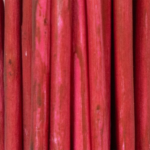 Itens Ramo decorativo seco de salgueiro-chorão para arranjos florais criativos e acessórios para casa, 80 cm, 70 g