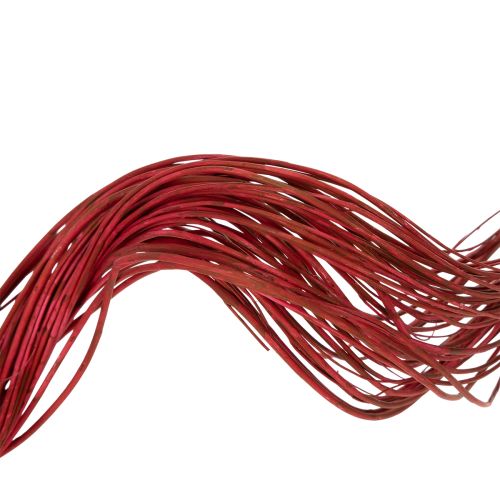 Itens Ramo decorativo seco de salgueiro-chorão para arranjos florais criativos e acessórios para casa, 80 cm, 70 g