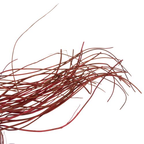 Itens Ramo decorativo seco de salgueiro-chorão para arranjos florais criativos e acessórios para casa, 80 cm, 70 g