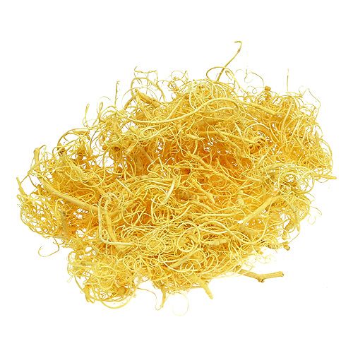 Floristik24 Musgo encaracolado amarelo claro 350g