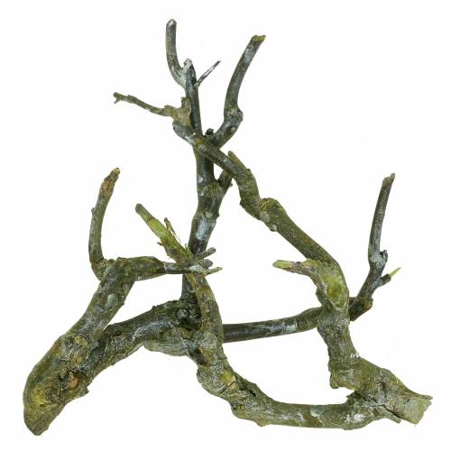Itens Ramo deco curry bush verde lavado 500g