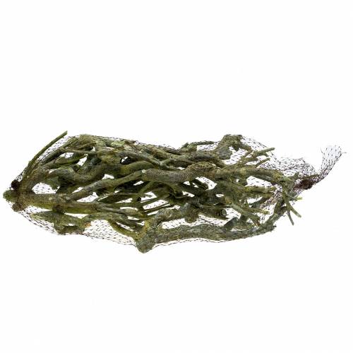Itens Ramo deco curry bush verde lavado 500g