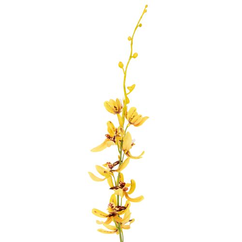Itens Orquídea Cymbidium artificial em formato de haste para decoração elegante, 95 cm, 2 peças.