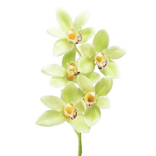 Floristik24 Orquídea Cymbidium artificial 5 flores verdes 65cm