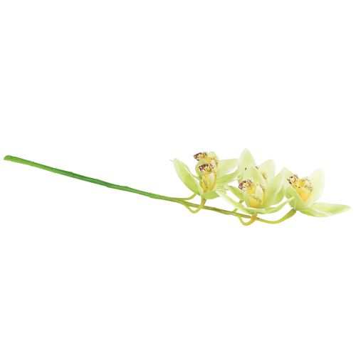 Itens Orquídea Cymbidium artificial 5 flores verdes 65cm
