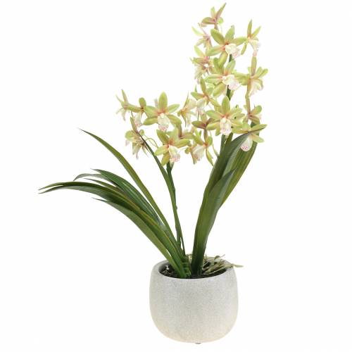 Floristik24 Orquídea Cymbidium Verde em vaso Artificial Alt.46cm