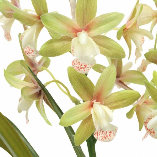 Floristik24 Orquídea Cymbidium Verde em vaso Artificial Alt.46cm