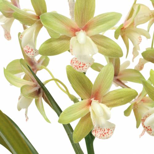 Itens Orquídea Cymbidium Verde em vaso Artificial Alt.46cm