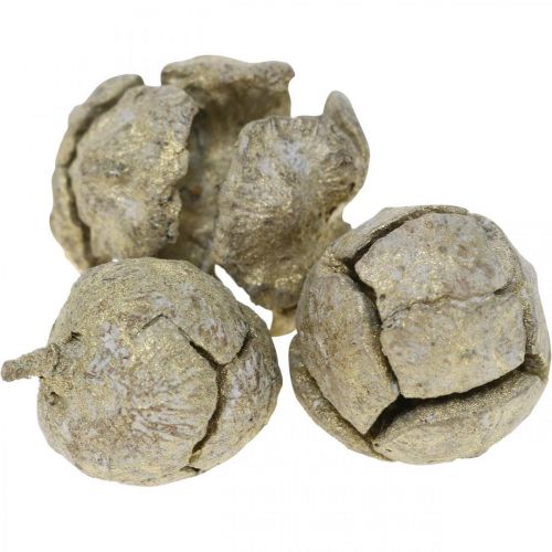 Floristik24 Cones de cipreste naturais, decoração de Natal, cones de artesanato banhados a ouro Ø2–3cm H2,5–3,5g 330g