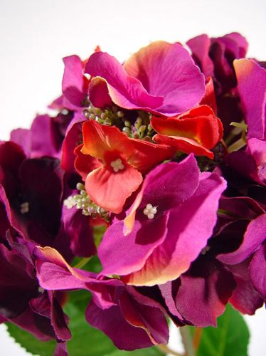Floristik24 Hortênsia 43 cm roxo escuro (3 unidades)