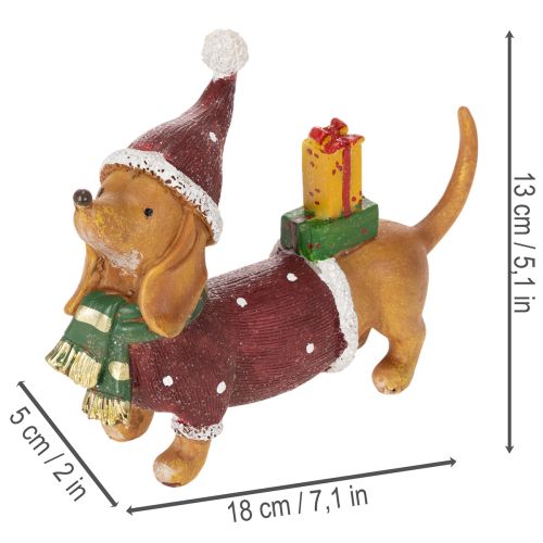 Estatueta decorativa de dachshund com embalagem para presente e chapéu, 18 cm | Floristik24.pt