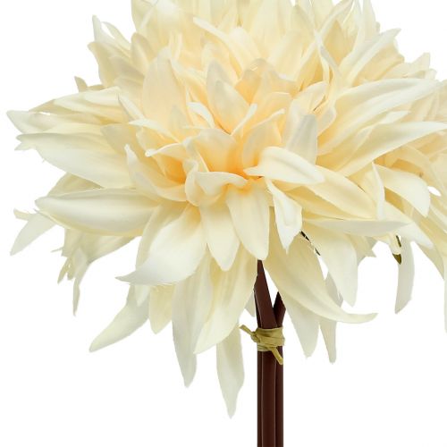 Floristik24 Creme dália artificial 25,5cm 3uds