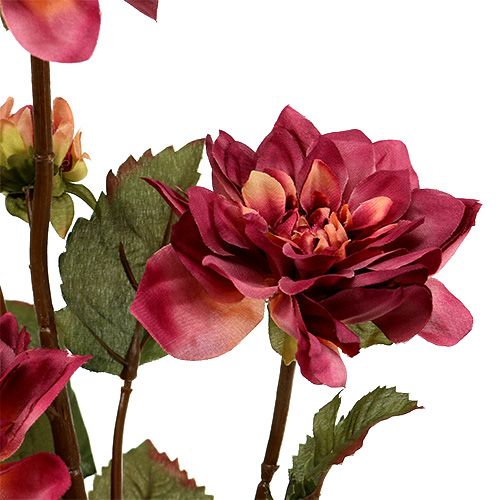 Floristik24 Dahlia Erika Ø10cm C68cm 3pcs