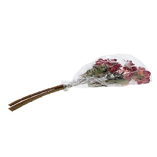 Floristik24 Dahlia Erika Ø10cm C68cm 3pcs