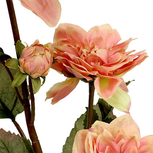 Floristik24 Dália rosa Ø10cm C 68cm 3pcs