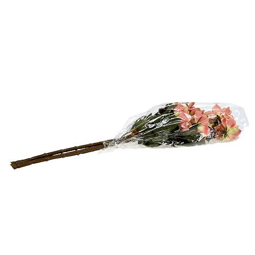 Floristik24 Dália rosa Ø10cm C 68cm 3pcs