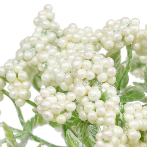 Floristik24 Ramo decorativo de baga branco 24 cm 5 unidades