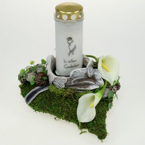 Floristik24 Planta coração musgo 28cm x 23cm