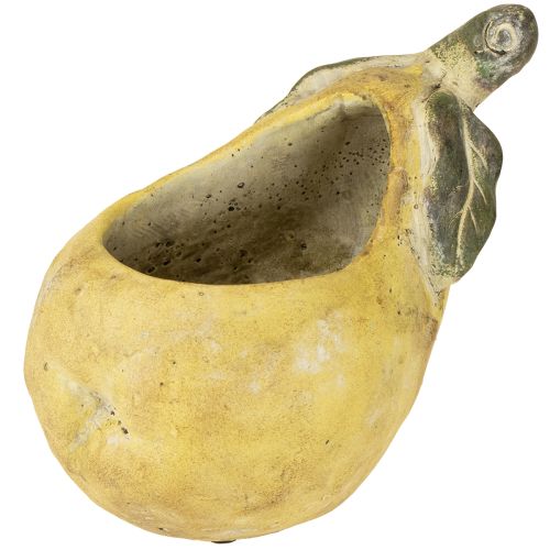 Floristik24 Vaso decorativo de concreto para pera, decoração de outono 19×12,5×15,5 cm