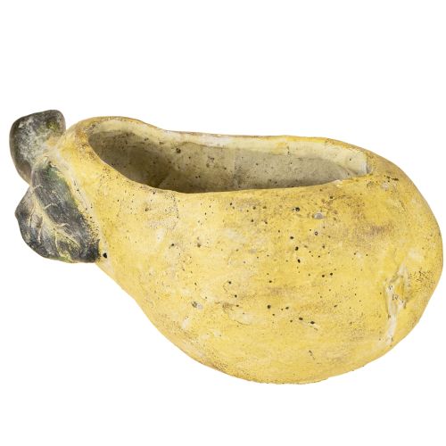 Floristik24 Vaso decorativo para plantas de outono em concreto 25×13×11cm