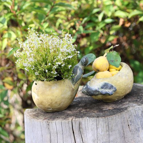 Vaso decorativo para plantas de outono em concreto 25×13×11cm