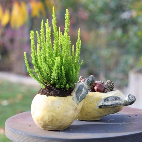 Itens Vaso decorativo para plantas de outono em concreto 25×13×11cm