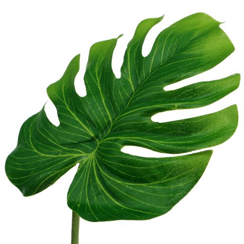 Floristik24 Folha Deco Folha Filo Verde L11cm L29,5cm 3pcs