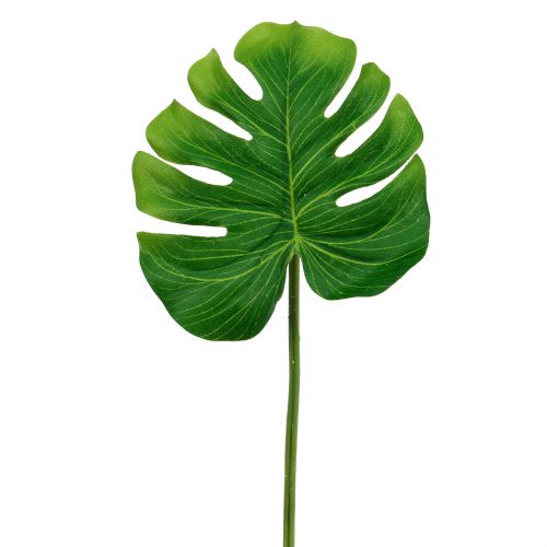 Floristik24 Folha Deco Folha Filo Verde L11cm L29,5cm 3pcs