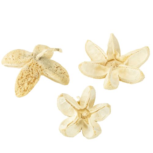 Floristik24 Flor decorativa branqueada 12 peças